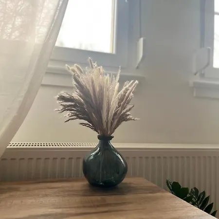 홈스테이 Elegantes In Historischer In Siegen-eiserfeld *